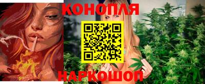 гашик Балахна