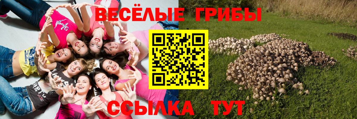 Псилоцибиновые грибы Magic Shrooms Дмитров