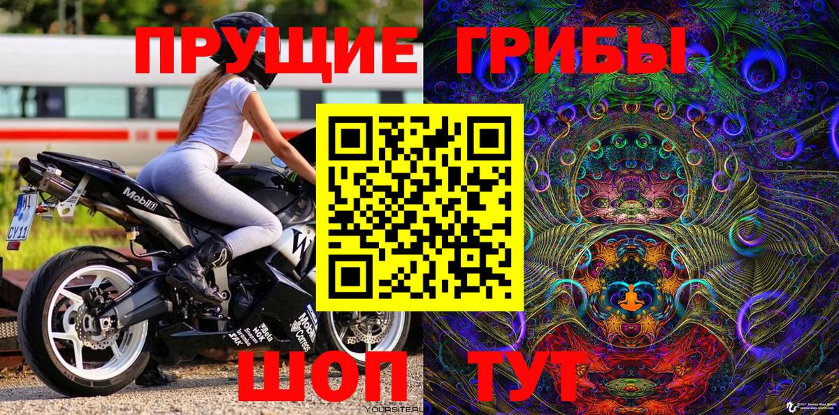 Псилоцибиновые грибы MAGIC MUSHROOMS  Вход с VPN  Дмитров  Галлюциногенные грибы Psilocybine cubensis 